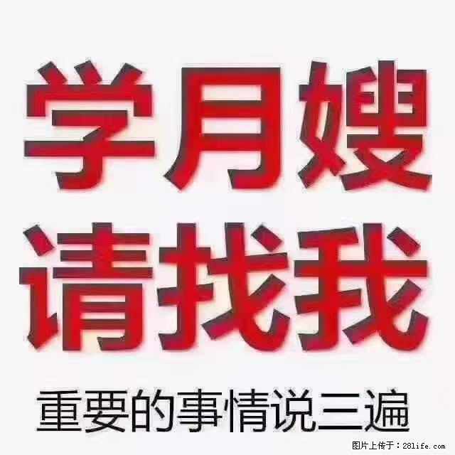 为什么要学习月嫂，育婴师？ - 新手上路 - 固原生活社区 - 固原28生活网 guyuan.28life.net
