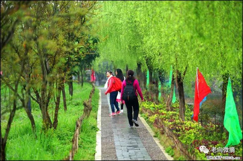 【春天，广西桂林灌阳县向您发出邀请！】江口老街又逢春 - 游山玩水 - 固原生活社区 - 固原28生活网 guyuan.28life.net