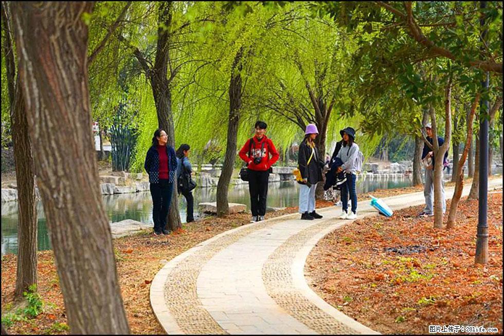 【春天，广西桂林灌阳县向您发出邀请！】江口老街又逢春 - 游山玩水 - 固原生活社区 - 固原28生活网 guyuan.28life.net