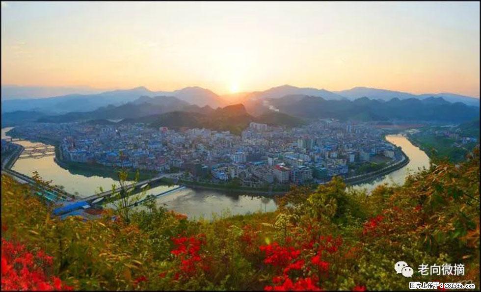 【春天，广西桂林灌阳县向您发出邀请！】登麒麟山，相约映山红 - 游山玩水 - 固原生活社区 - 固原28生活网 guyuan.28life.net