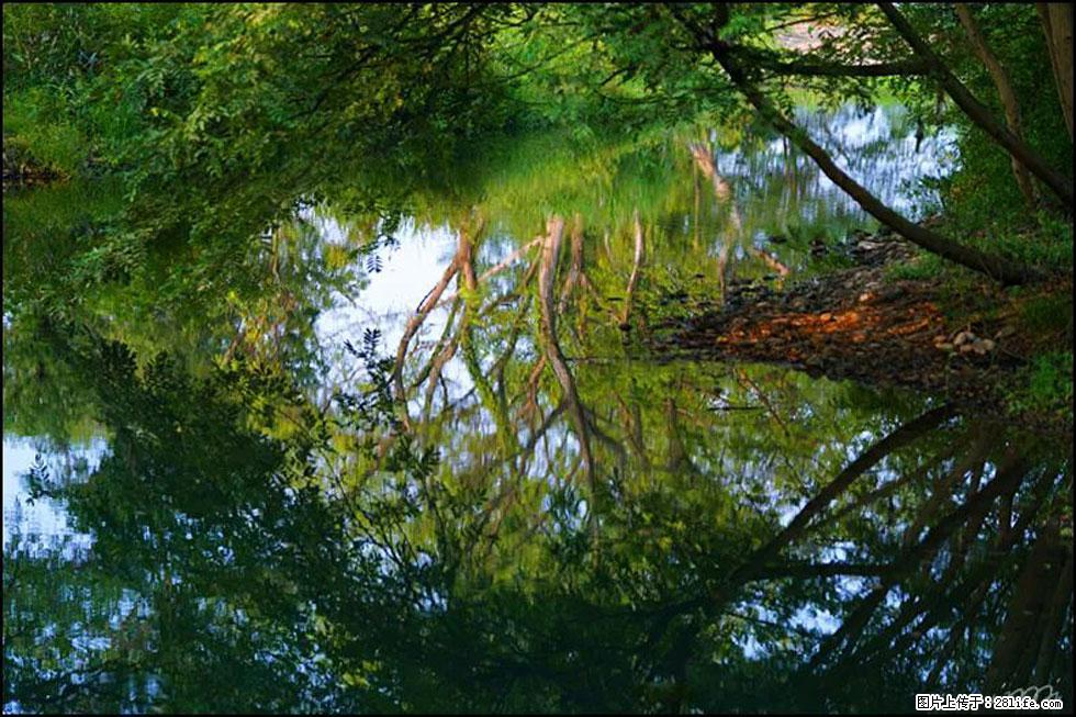 【春天，广西桂林灌阳县向您发出邀请！】熊家寨湿地公园 - 游山玩水 - 固原生活社区 - 固原28生活网 guyuan.28life.net