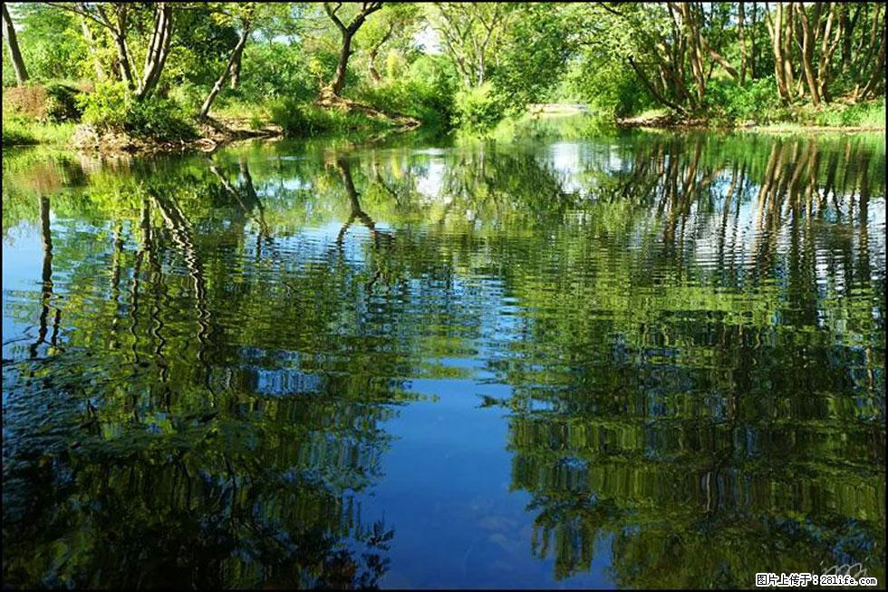 【春天，广西桂林灌阳县向您发出邀请！】熊家寨湿地公园 - 游山玩水 - 固原生活社区 - 固原28生活网 guyuan.28life.net