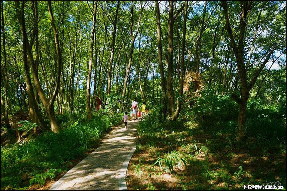 【春天，广西桂林灌阳县向您发出邀请！】熊家寨湿地公园 - 游山玩水 - 固原生活社区 - 固原28生活网 guyuan.28life.net