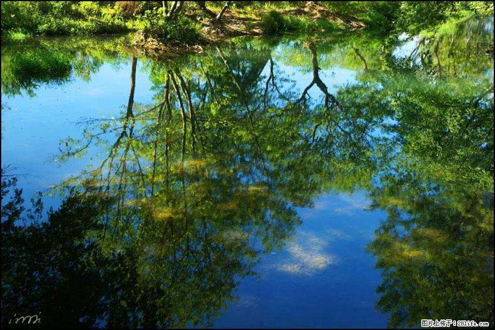 【春天，广西桂林灌阳县向您发出邀请！】熊家寨湿地公园 - 游山玩水 - 固原生活社区 - 固原28生活网 guyuan.28life.net