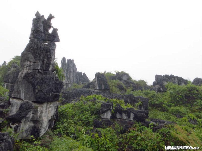 桂林旅游名城景点：灌阳文市石林 - 游山玩水 - 固原生活社区 - 固原28生活网 guyuan.28life.net
