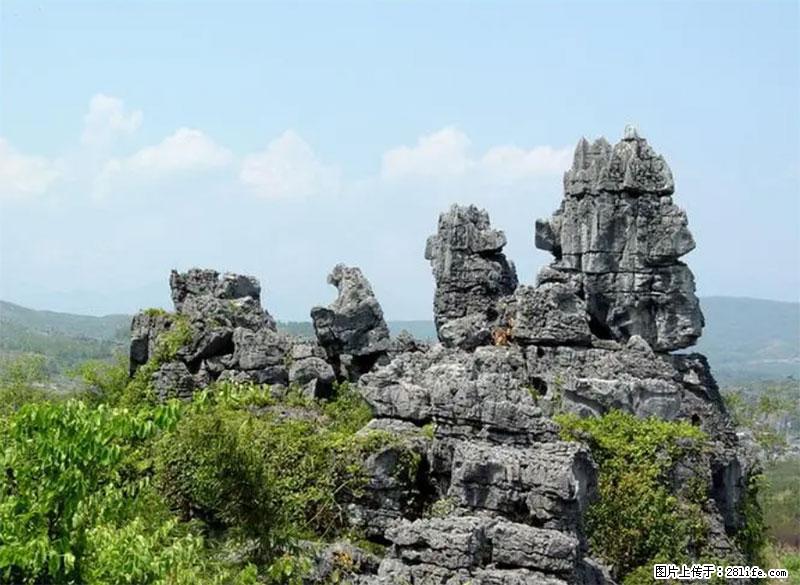 桂林旅游名城景点：灌阳文市石林 - 游山玩水 - 固原生活社区 - 固原28生活网 guyuan.28life.net