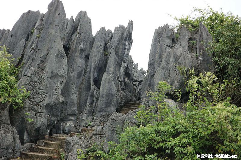 桂林旅游名城景点：灌阳文市石林 - 游山玩水 - 固原生活社区 - 固原28生活网 guyuan.28life.net