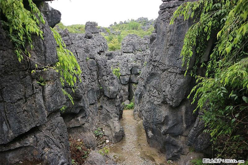 桂林旅游名城景点：灌阳文市石林 - 游山玩水 - 固原生活社区 - 固原28生活网 guyuan.28life.net