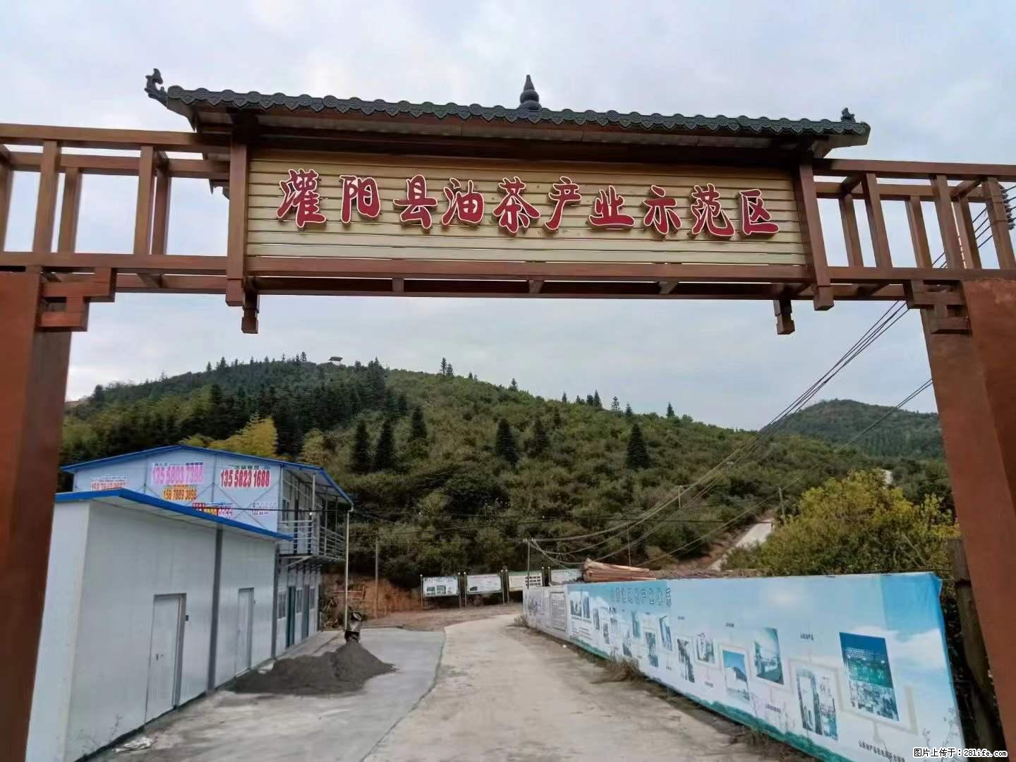 【灌阳县油茶产业示范区】一个有着充实的精神生活的人，对待身外之物自会有一种淡泊的态度 - 美食天地 - 固原生活社区 - 固原28生活网 guyuan.28life.net