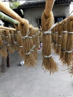 【灌阳正宗红薯粉】美女家里自己做的，干净卫生，假一赔十，价格合理，抢购电话：13737312895 - 固原28生活网 guyuan.28life.net