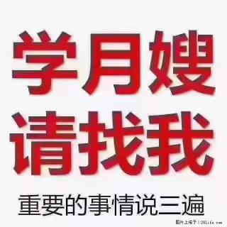 为什么要学习月嫂，育婴师？ - 固原28生活网 guyuan.28life.net