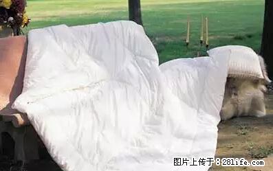 被子有异味？只要这样做，比晒太阳还强100倍！ - 家居生活 - 固原生活社区 - 固原28生活网 guyuan.28life.net