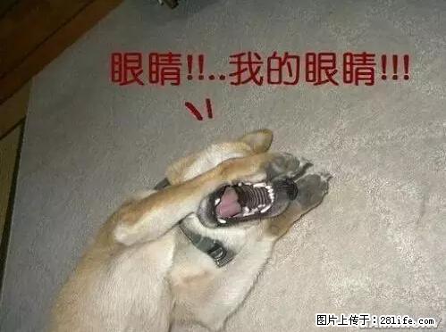 笑癫了！一女的怀孕三年未生，他终于忍不住了... - 娱乐八卦 - 固原生活社区 - 固原28生活网 guyuan.28life.net