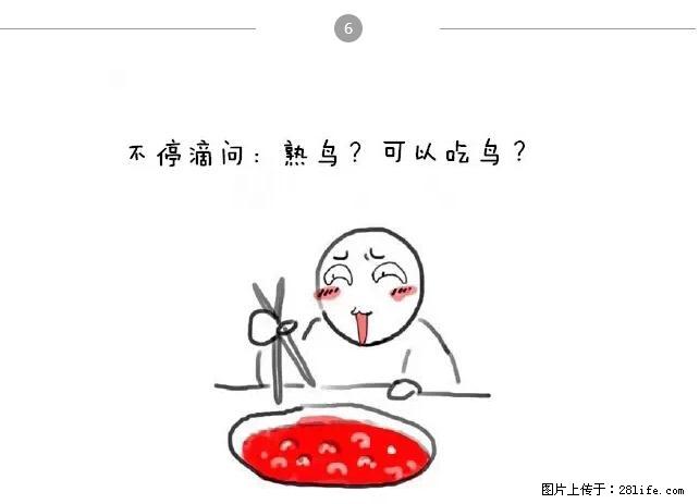 千万不要和这9种哈卵一起吃火锅！ - 美食天地 - 固原生活社区 - 固原28生活网 guyuan.28life.net