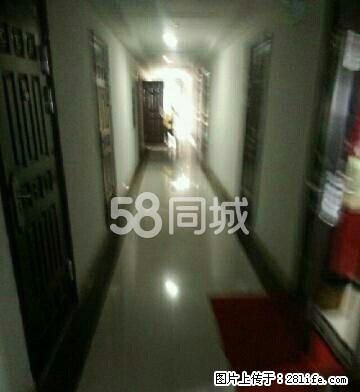 派胜世贸城50平米房子出租1室1厅1卫 - 房屋出租 - 房屋租售 - 固原分类信息 - 固原28生活网 guyuan.28life.net