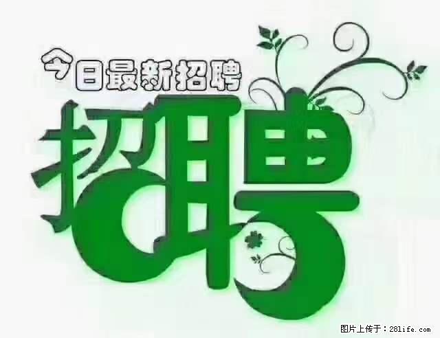 【招聘摄像师】待遇：试用期6000元/月，转正7000元/月+五险一金+餐补+节日福利+奖金 - 其他招聘信息 - 招聘求职 - 固原分类信息 - 固原28生活网 guyuan.28life.net