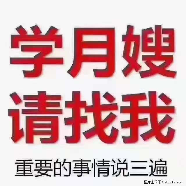 【招聘】月嫂，上海徐汇区 - 职场交流 - 固原生活社区 - 固原28生活网 guyuan.28life.net