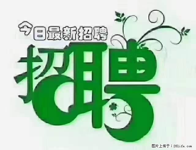 上海隔离酒店招人：55岁以下 男女不限 - 职场交流 - 固原生活社区 - 固原28生活网 guyuan.28life.net