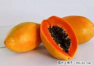 晕车、脚气、牙齿变黄、皮肤粗糙？学会这些三分钟搞定！ - 固原生活资讯 - 固原28生活网 guyuan.28life.net