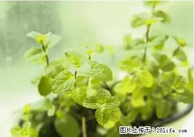 晕车、脚气、牙齿变黄、皮肤粗糙？学会这些三分钟搞定！ - 固原生活资讯 - 固原28生活网 guyuan.28life.net