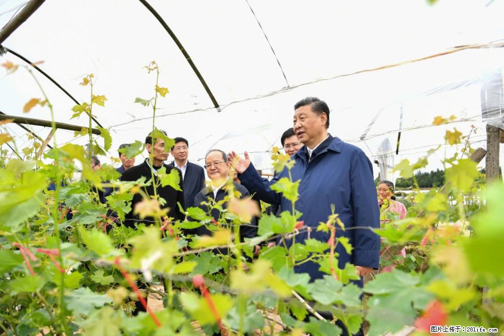 习近平赴广西考察调研 - 固原生活资讯 - 固原28生活网 guyuan.28life.net