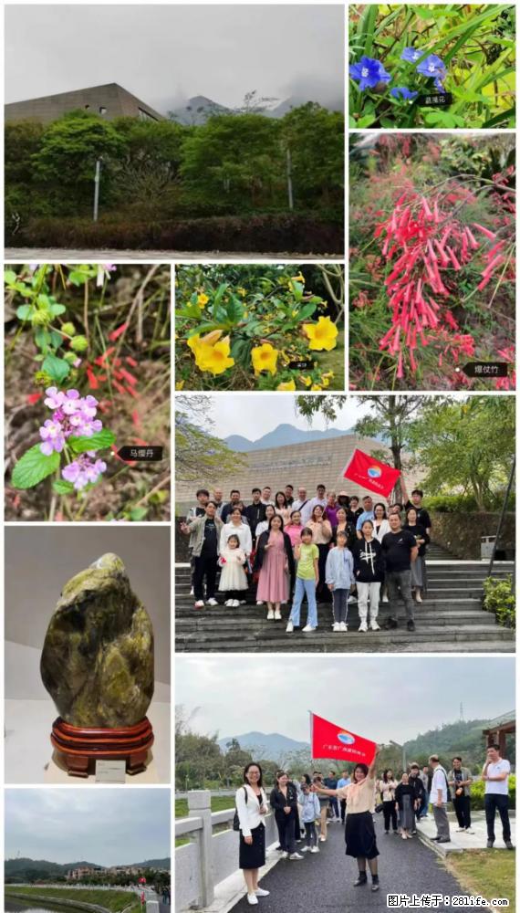 “粤灌文化 美好生活”油茶文化主题活动在广东深圳成功举办 - 固原生活资讯 - 固原28生活网 guyuan.28life.net