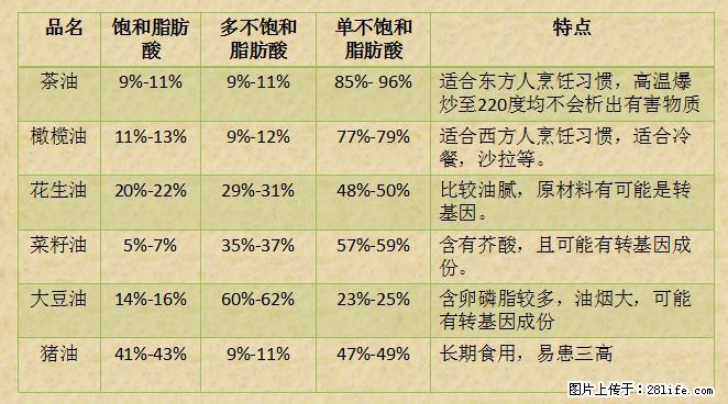 揭秘茶油的5大核心营养成分！被称为人体健康的“守护盾”！ - 固原生活资讯 - 固原28生活网 guyuan.28life.net