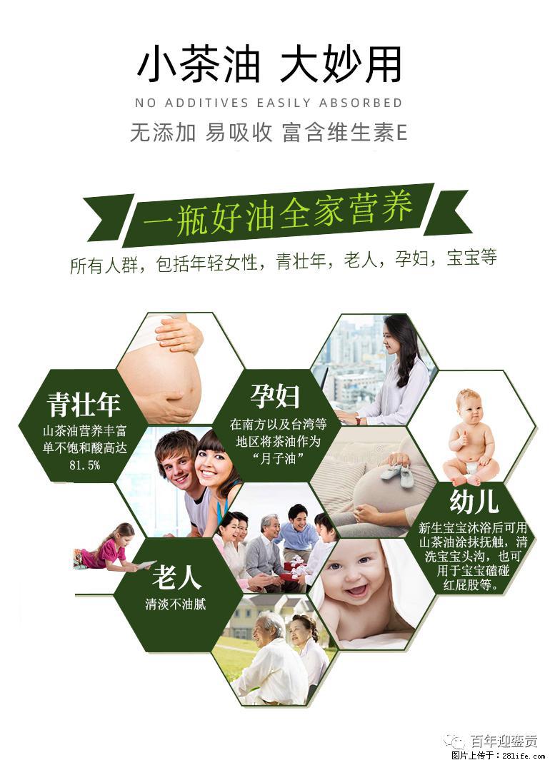 世界没有真相，只有认知，最好的食用油是中国的山茶油！ - 固原生活资讯 - 固原28生活网 guyuan.28life.net