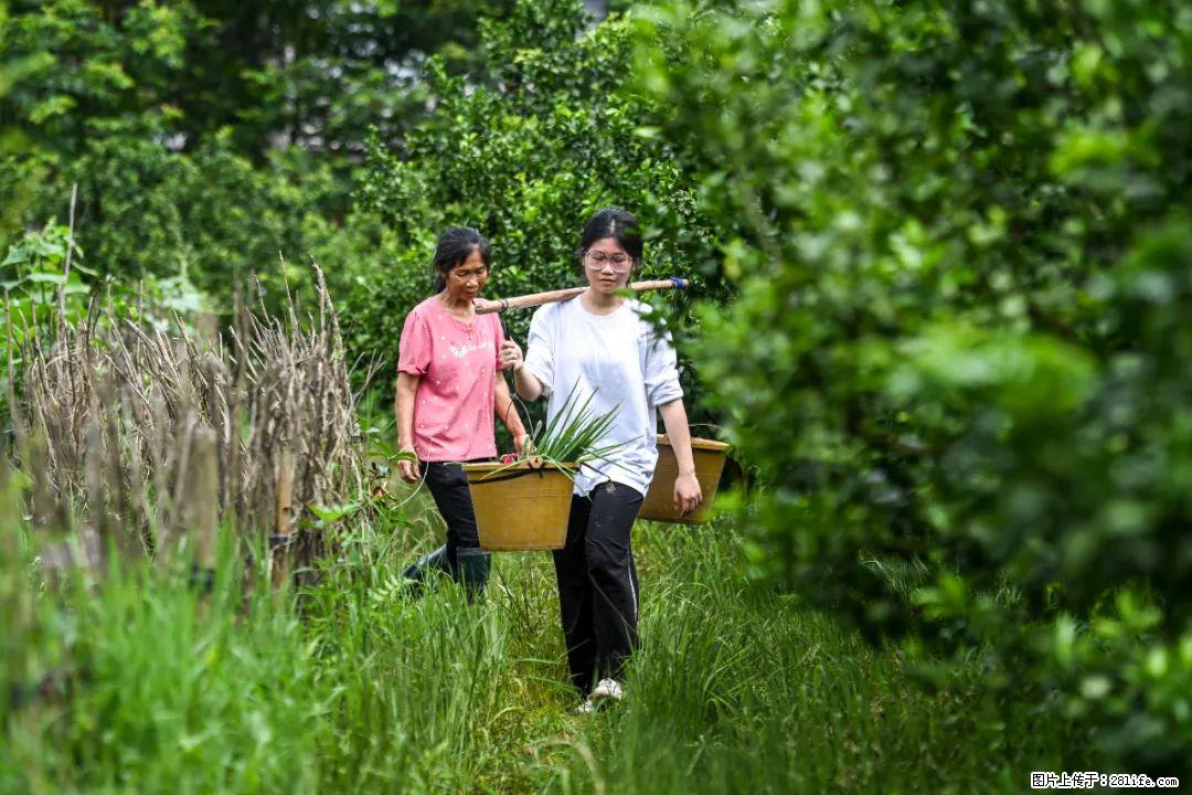 全网追的“扁担女孩”，找了一份暑假工，时薪12元 - 固原生活资讯 - 固原28生活网 guyuan.28life.net