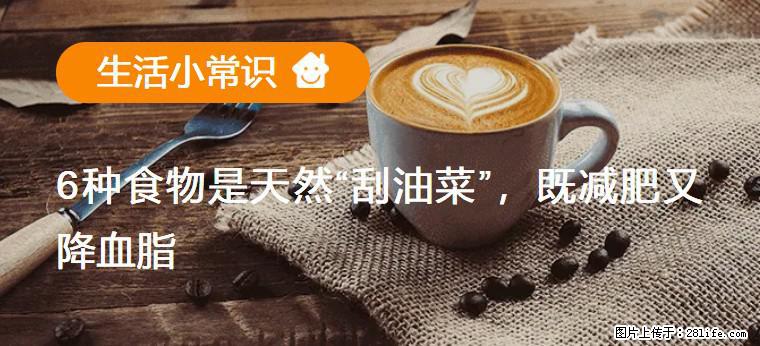 【生活小常识】6种食物是天然“刮油菜”，既减肥又降血脂 - 固原生活资讯 - 固原28生活网 guyuan.28life.net