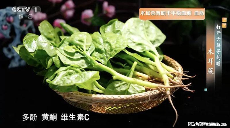 比牛奶补钙还厉害！凉血解毒、稳血糖...这菜冬天必吃，很多人却当草 - 固原生活资讯 - 固原28生活网 guyuan.28life.net