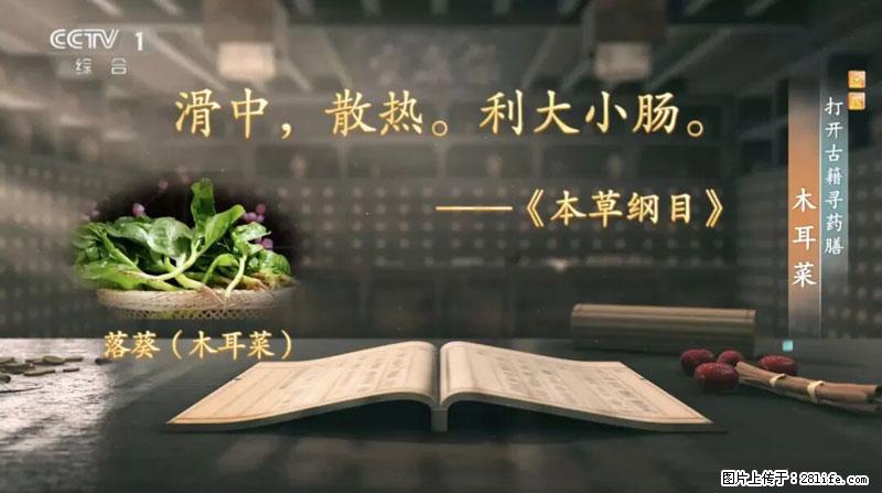 比牛奶补钙还厉害！凉血解毒、稳血糖...这菜冬天必吃，很多人却当草 - 固原生活资讯 - 固原28生活网 guyuan.28life.net