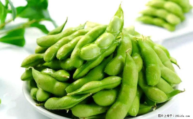 这些蔬菜是“天然钙片”，这6种被医生重点推荐 - 固原生活资讯 - 固原28生活网 guyuan.28life.net