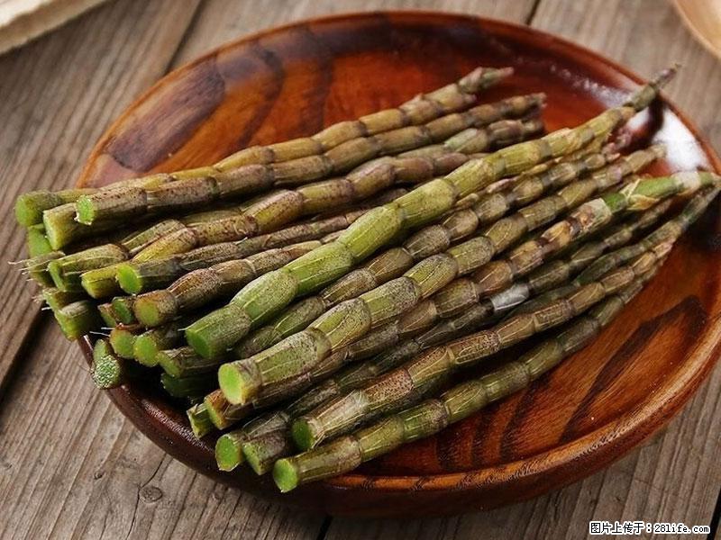 铁皮石斛的作用与功能主治 - 固原生活资讯 - 固原28生活网 guyuan.28life.net